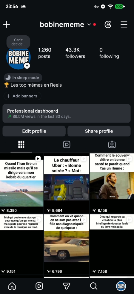 bobinememe Instagram profile